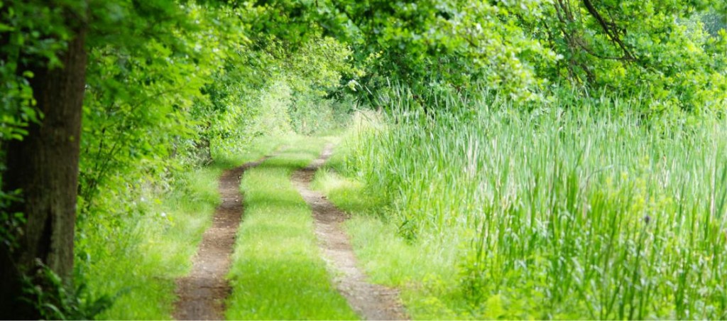 Therapeutische Hilfe in Lebenskrisen - Der Weg - Dietmar-Stengl/pitopia.de